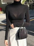 Korean Spring Bosom Showing Thin Long-Sleeved T-Shirt Tight-Knit Bottom Shirt Sex Sexy High-Collar Blouse Woman