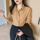 2025 Shirt Women Autumn Spring New Casual Long-Sleeved Hair Shirt Design Small Coat Top Woman