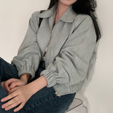 Korean Chic Autumn French Retro Collar Zipper Style Loose Long-Sleeved Short Jacket Jacket