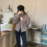 Korean Wind Chic Warm Soft Hairy Short Zipper Coat Women Autumn And Winter Thicken Warm Collar Plush Cotton Suit