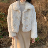 New Loose Leisure Fur Coat Women's Horns Loose Short Tops In Autumn And Winter 2025