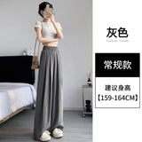 Apricot Yamamoto Broad Leg Trousers Women 2025 Summer New Gentle Wind High-Waist Loose Display Thin Lazy Casual Pants