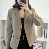 Spring And Autumn New Blazer Women's High-End Texture Dress Small Suit Japanese And Korean Casual Solid Color Suit Top