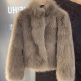 New Environmental Protection Fur Korean Version Of The Short Fur Coat Autumn And Winter Small Fragrant Wind Top Of The Woman In The Autumn And Winter