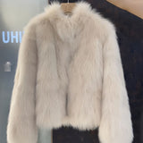 New Environmental Protection Fur Korean Version Of The Short Fur Coat Autumn And Winter Small Fragrant Wind Top Of The Woman In The Autumn And Winter